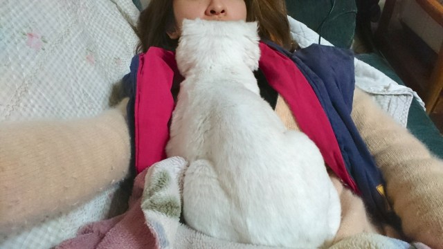 【アラサー独女コラム】正月に帰省したら親に「この家に住まない?」と空き家を見せられたでござる